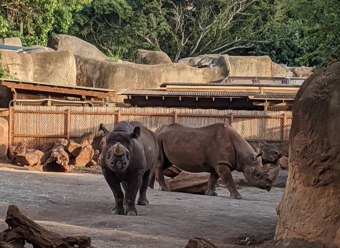 KEIKI CLUB Town Center Of Mililani