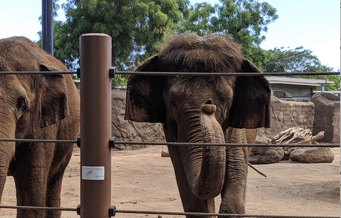 KEIKI CLUB Town Center Of Mililani