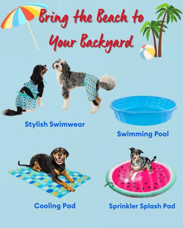 Pet Pools