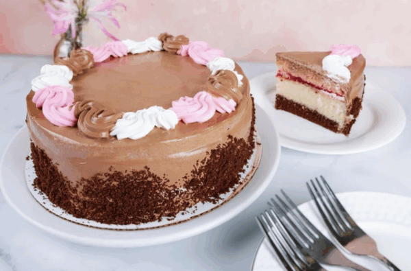 Neapolitan Cake