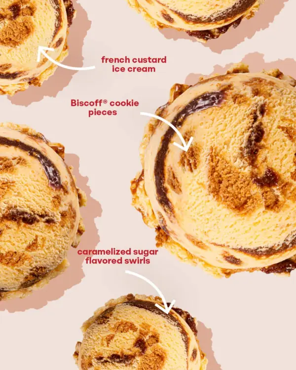 Biscoff® Créme Brülee