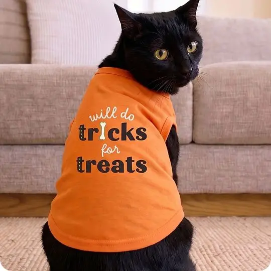 Cat Costume