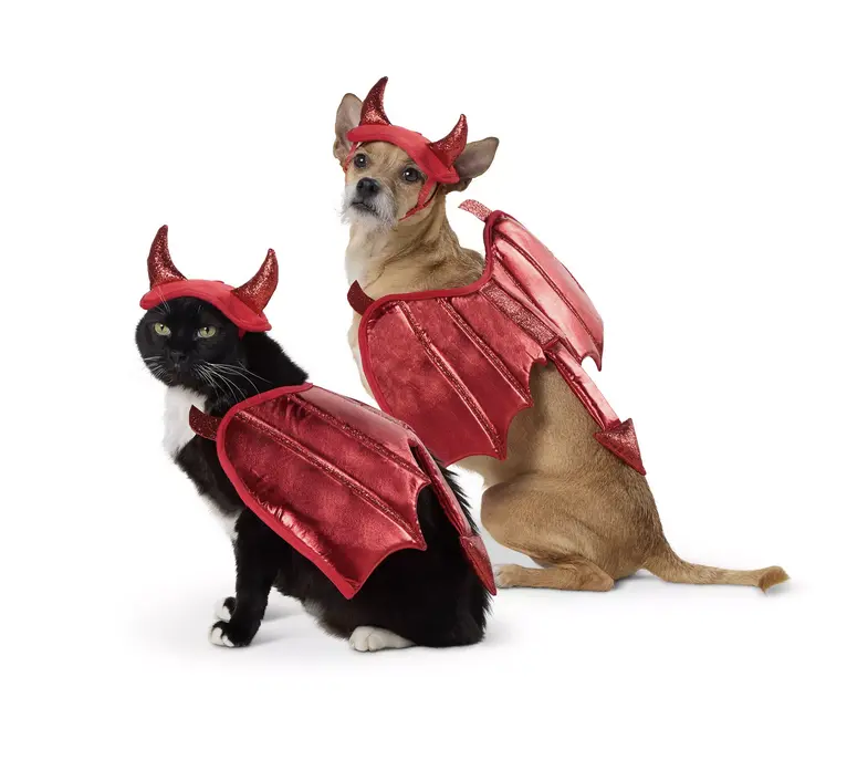 Devil Costume
