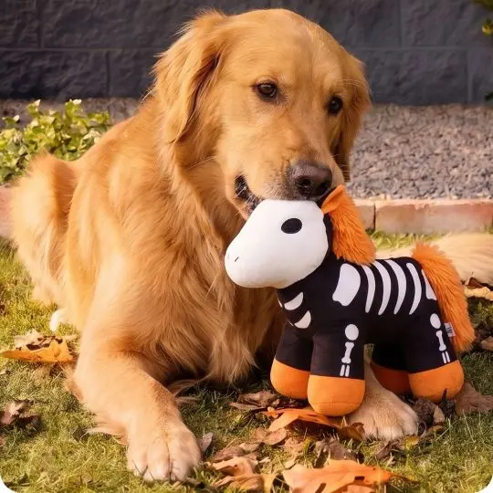 Doggy Toy